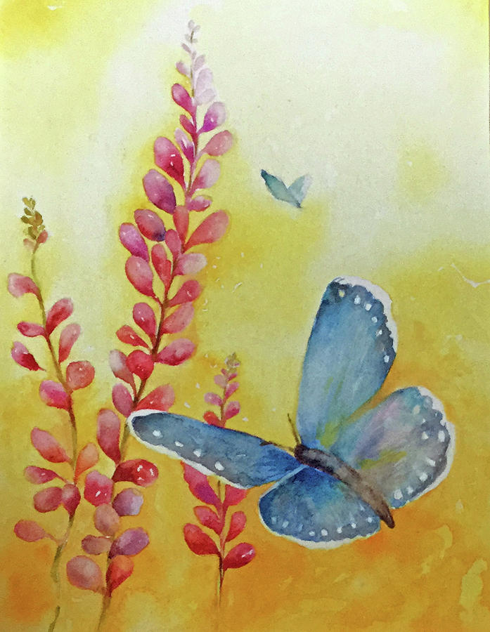 Karner Blue Butterfly Painting by Maureen Moore