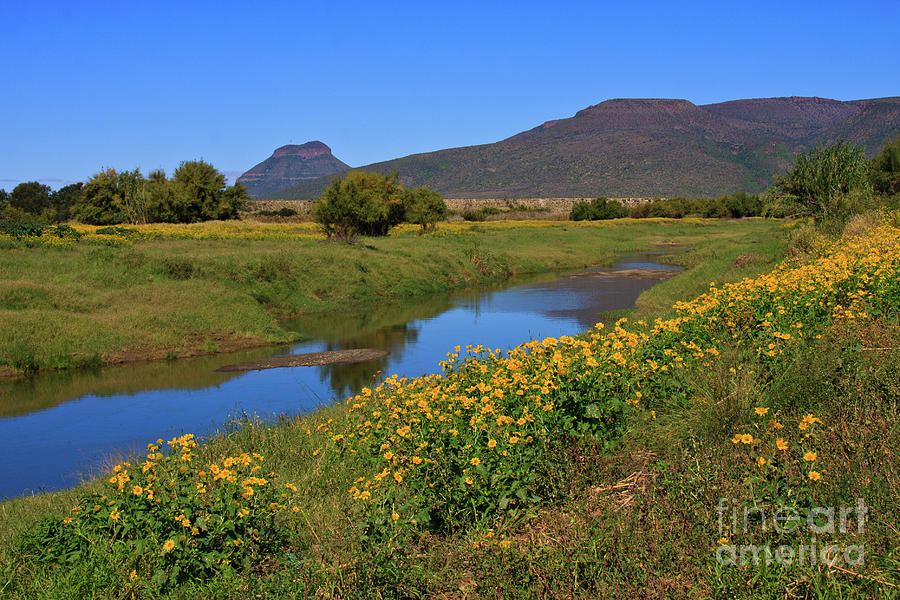 Karoo Landscape Photograph by Jennifer Ludlum