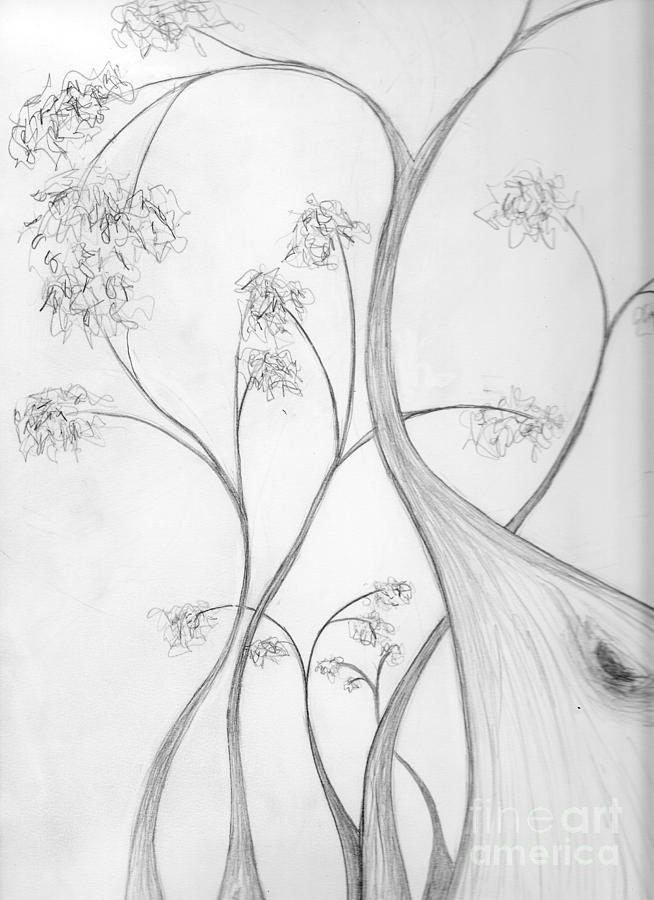 Karri Forest Drawing by Leonie Higgins Noone