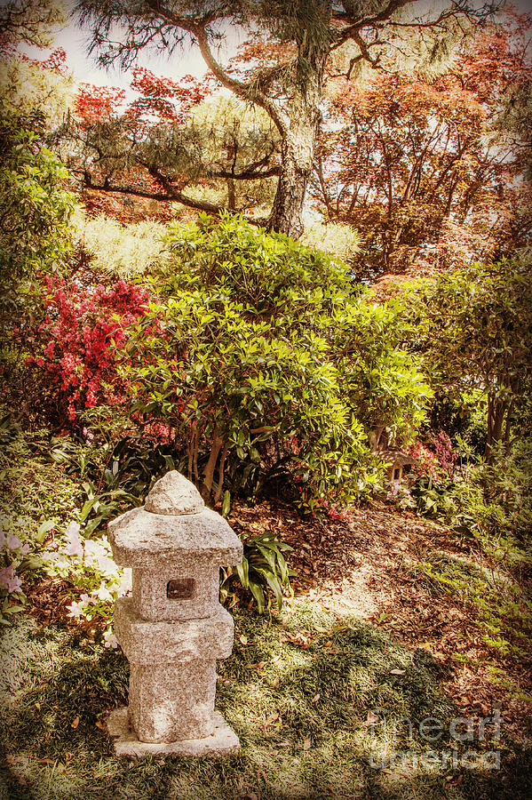 Kato Stroll Garden Photograph by Chris Scroggins