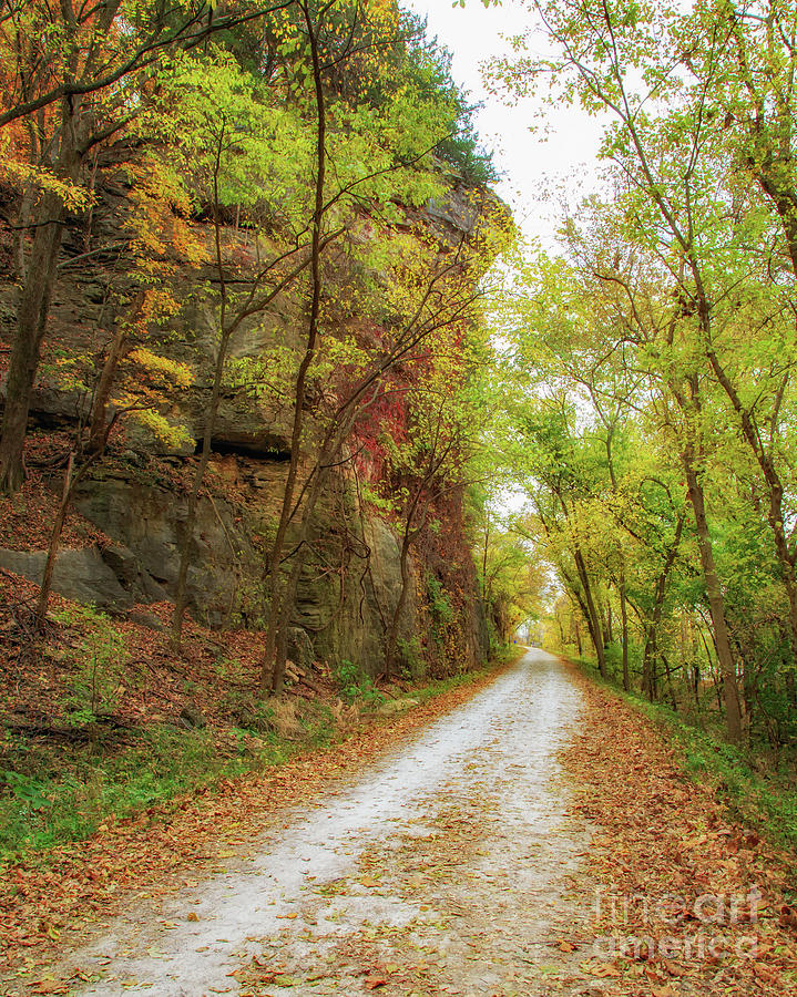 Katy Trail Autumn Colors Photograph by Kevin Anderson