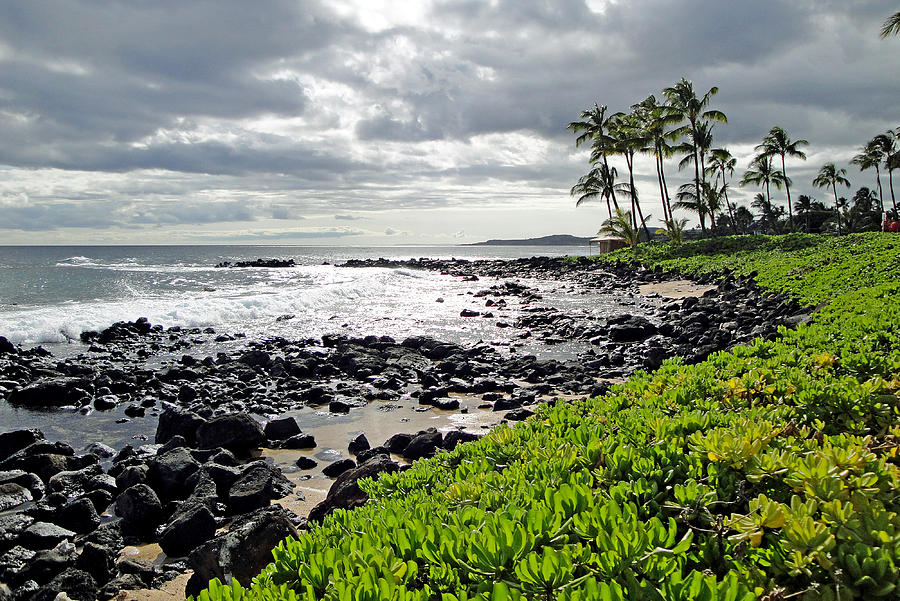 Nature Photograph - Kauai Afternoon by Robert Meyers-Lussier