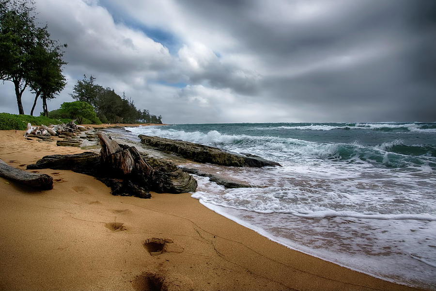 Kauai Beach Hawaii Photograph by Steven Michael