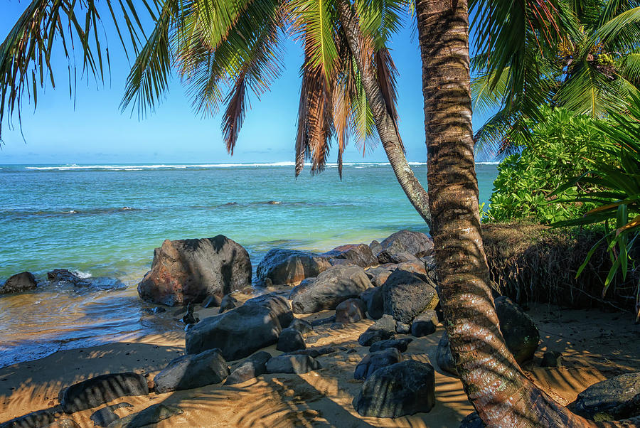 Kauai Beach with Palm Trees Hawaii  Photograph by Greg Kluempers