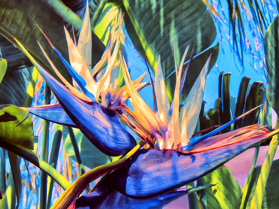 Kauai Bird of Paradise Painting by Dominic Piperata