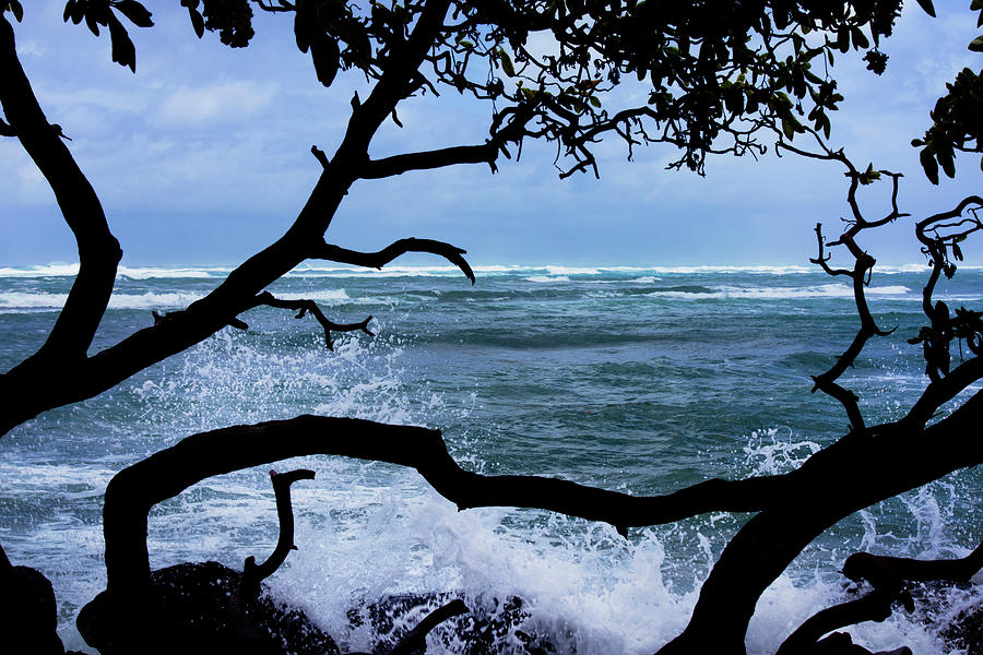 Kauai Blue Photograph by David Lunde