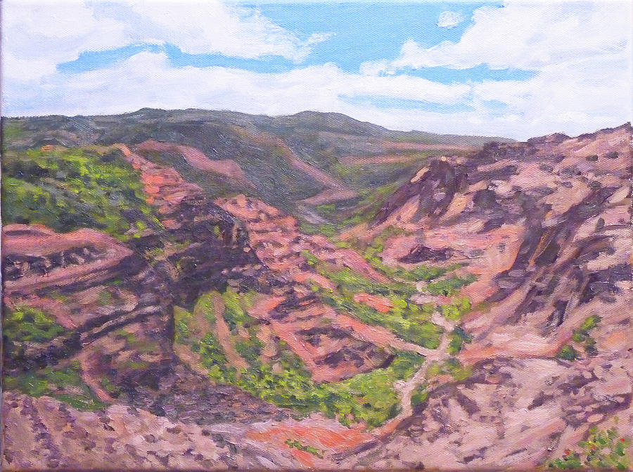 Kauai Canyon Painting by Stan Chraminski