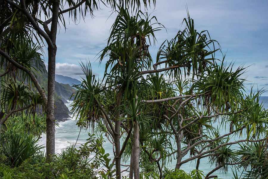 Kauai Coastline Photograph by Robert Potts