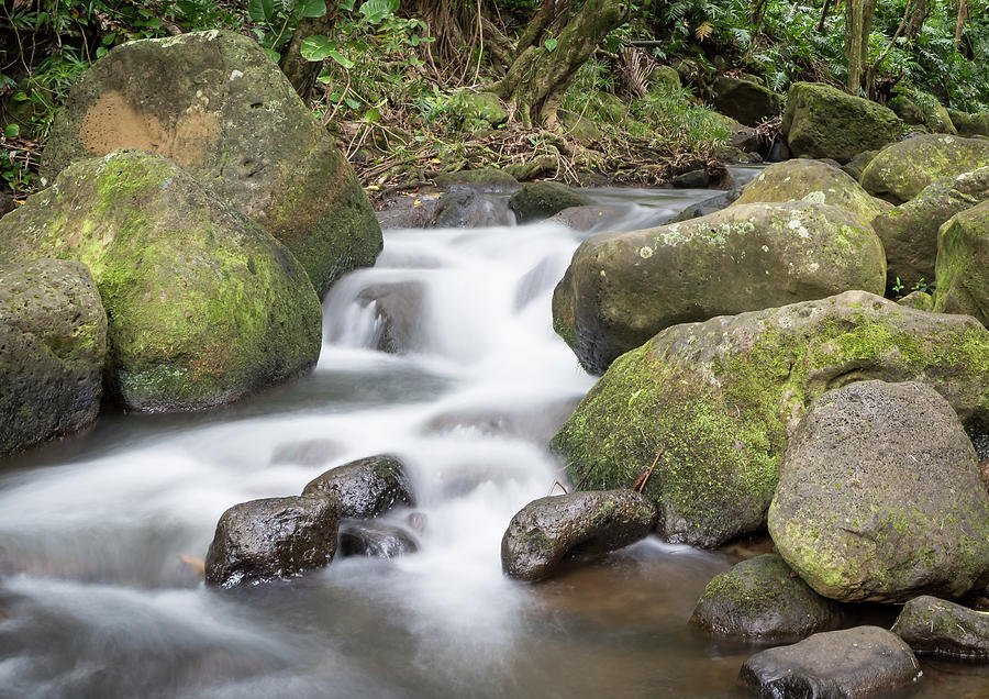 Kauai flow Photograph by Ian Sempowski