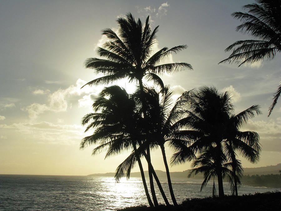 Kauai, Hawaii - Sunset 05  Photograph by Pamela Critchlow