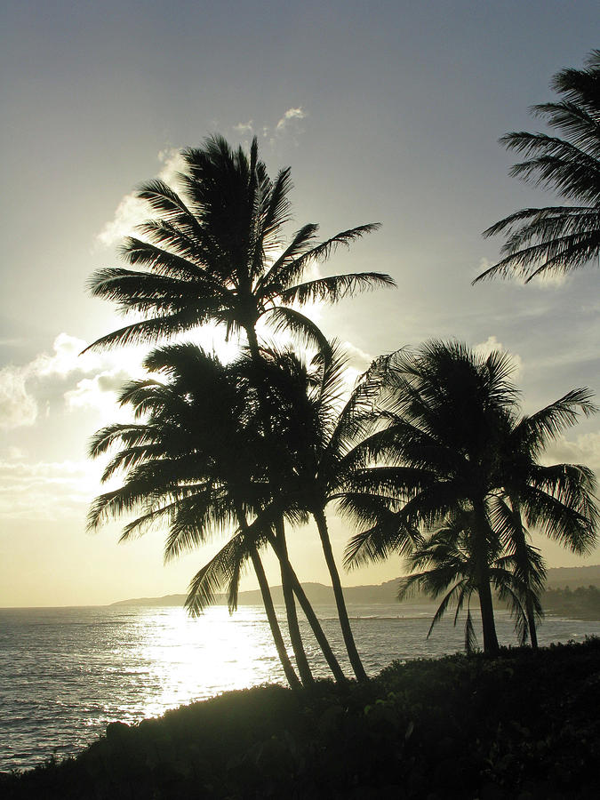 Kauai, Hawaii - Sunset 06 Photograph by Pamela Critchlow