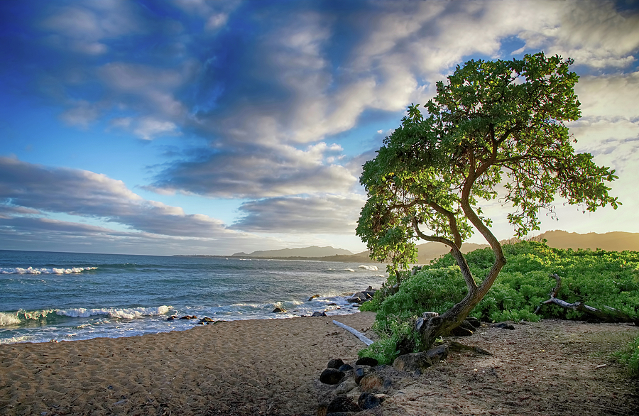 Kauai Landscape Photograph by Steven Michael