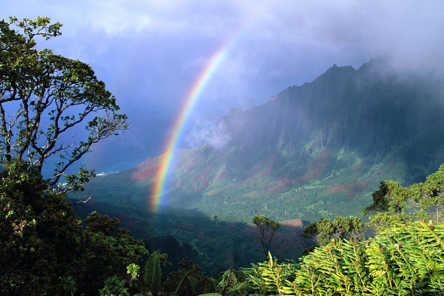 Kauai Rainbow Photograph by Brent Black - Printscapes