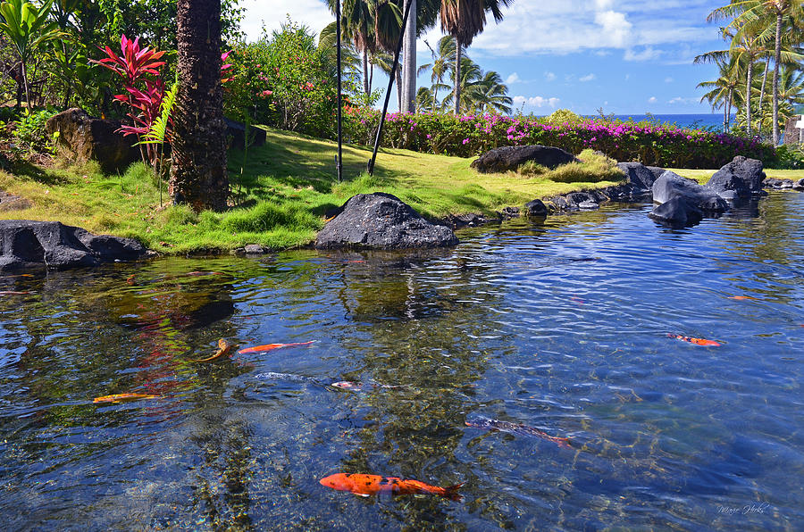 Kauai Serenity Photograph by Marie Hicks