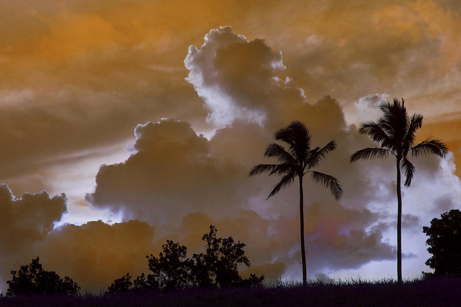 Kauai Sunset With Palms Photograph by Frank Wilson