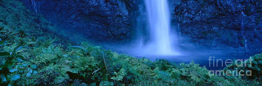 Kauai Waterfall Photograph by David Cornwell/First Light Pictures, Inc - Printscapes