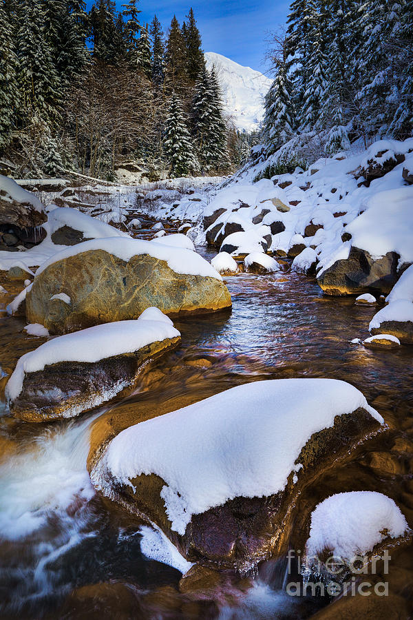 Mountain Photograph - Kautz Creek by Inge Johnsson