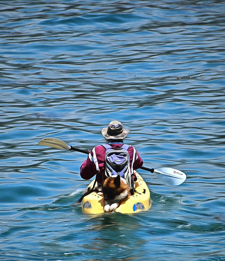 Kayak Dog Santa Barbara California Photograph by Floyd Snyder