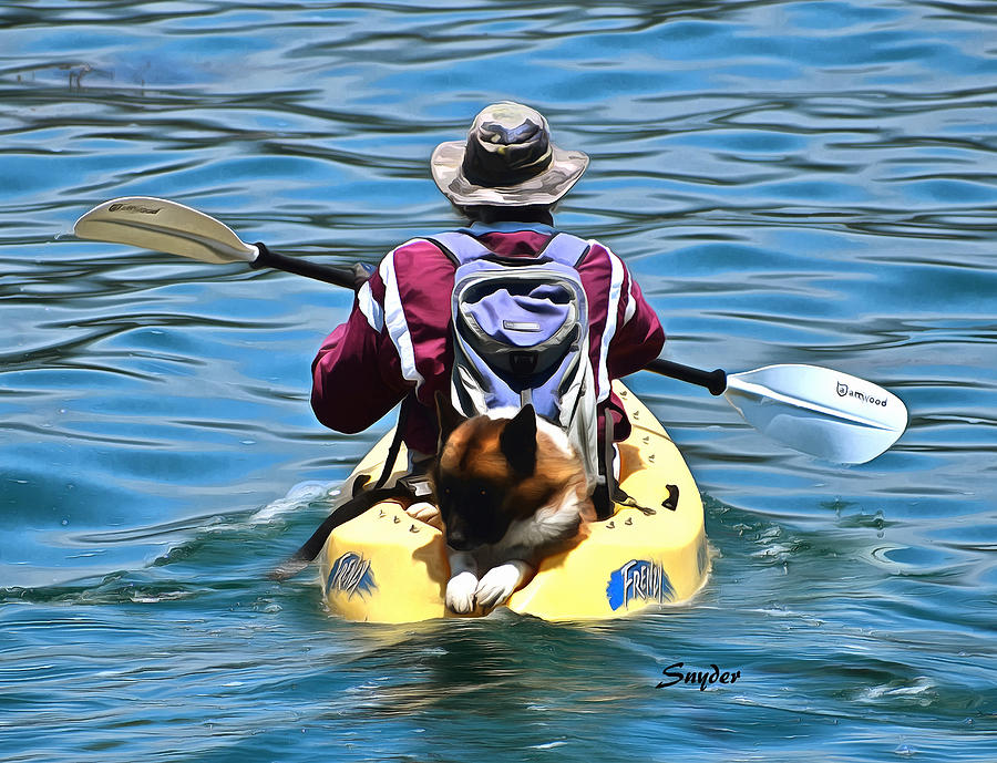 Kayak Dog Santa Barbara Detail Photograph by Floyd Snyder