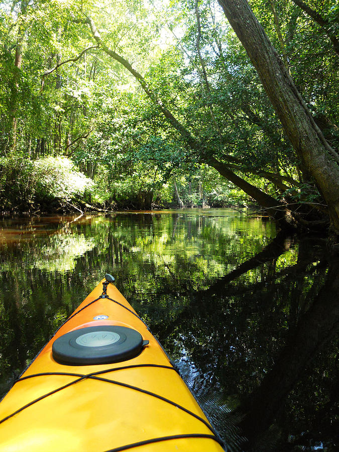 Kayak On Lumbee River Photograph By Matt Plyler - Pixels