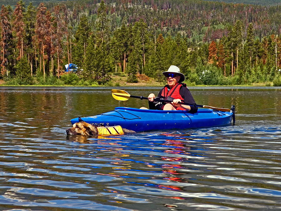 Kayaker and Swimming Dog Photograph by Sally Weigand