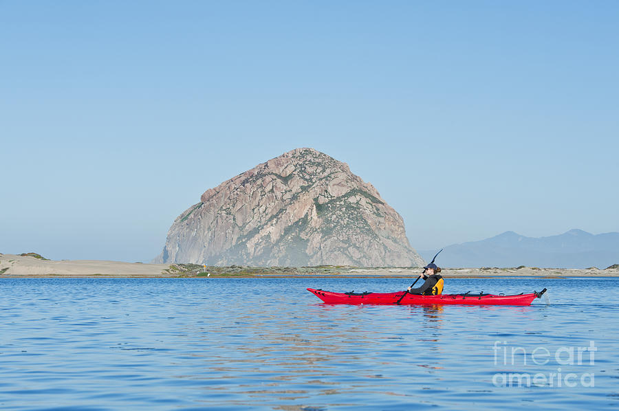 Nature Photograph - Kayaker in Morro Bay by Bill Brennan - Printscapes
