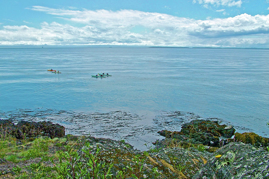 Kayakers off Lime Kiln Point on San Juan Island, Washington Photograph by Ruth Hager