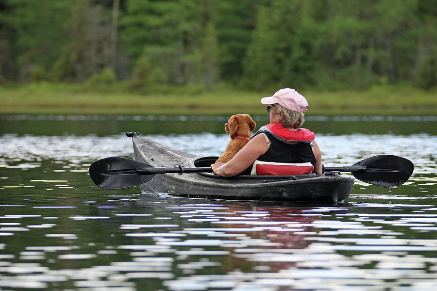 Kayaking Dog 1 Photograph by Brook Burling