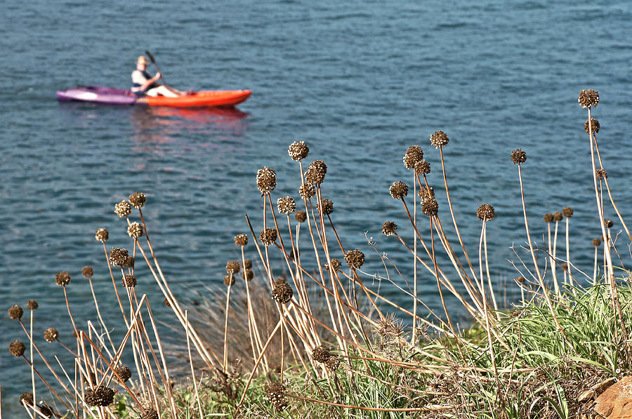 Kayaking freedom Photograph by Pedro Cardona Llambias