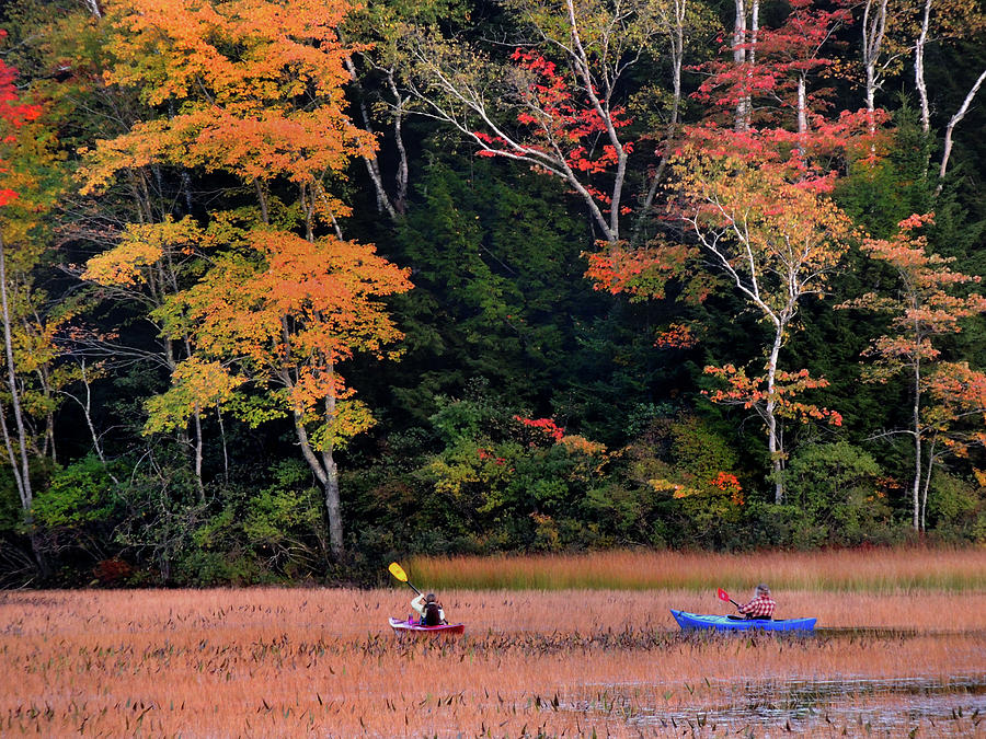 Kayaking in Autumn Photograph by Nancy Griswold