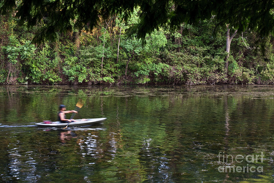 Austin Photograph - Kayaking on Lady Bird Lake in Zilker Park Austin Texas by Dan Herron