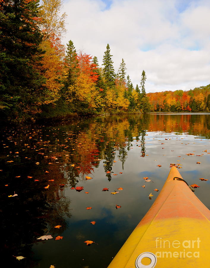 Kayaking the Fall Color #2 Photograph by Sandra Updyke
