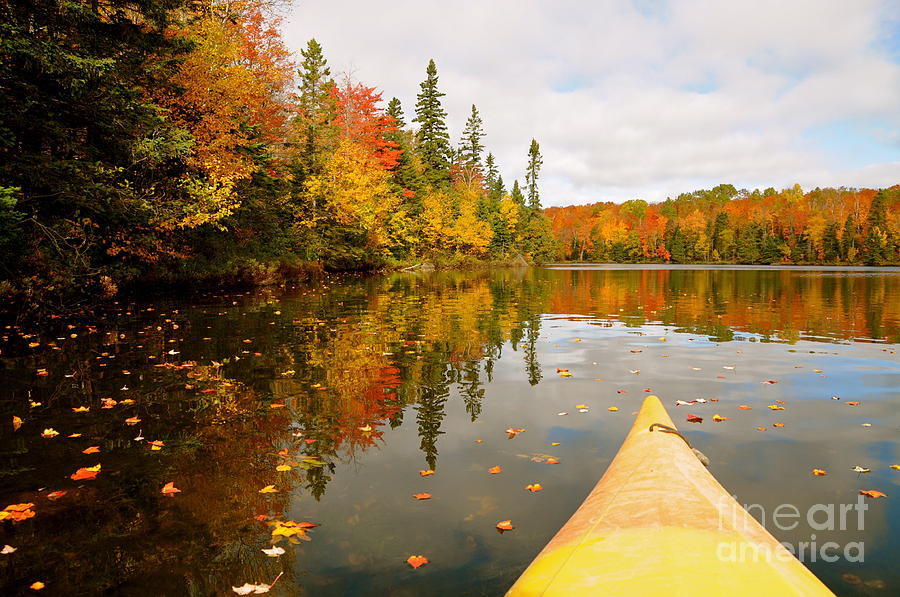 Kayaking the Fall Color Photograph by Sandra Updyke