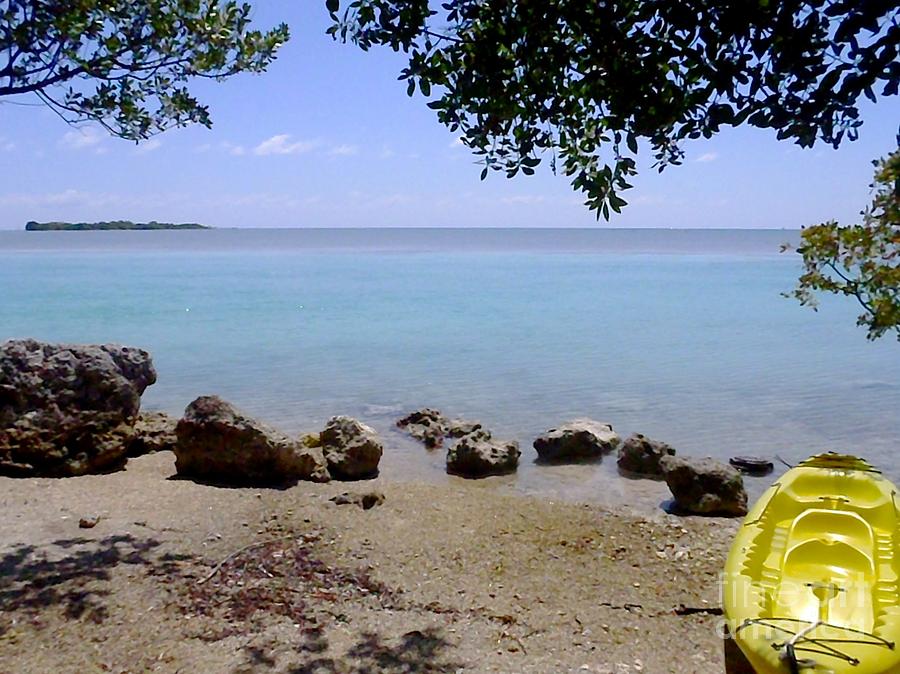 Kayaking The Florida Keys Photograph By Tammy Chesney