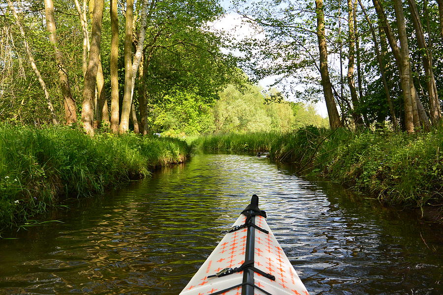 Nature Preserve Photograph - Kayaking Germanys Spreewald Biosphere by Two Small Potatoes Nature Preserve Photograph - Kayaking Germanys Spreewald Biosphere by Two Small Potatoes