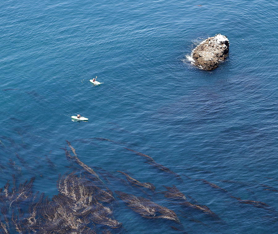 Kayaks and seaweed in Channel Islands Photograph by Jeff Kurtz
