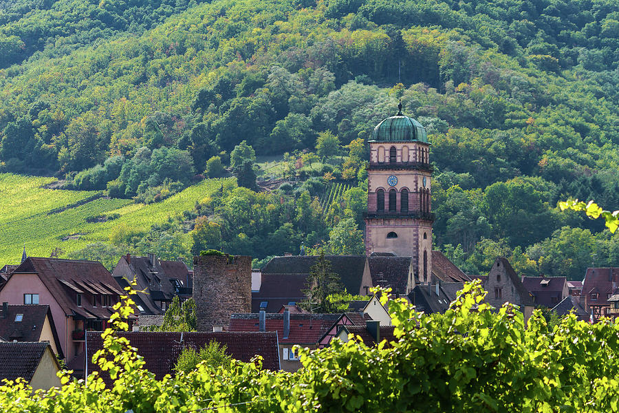 Kaysersberg and its vineyards - Alsace - France Photograph by Paul MAURICE