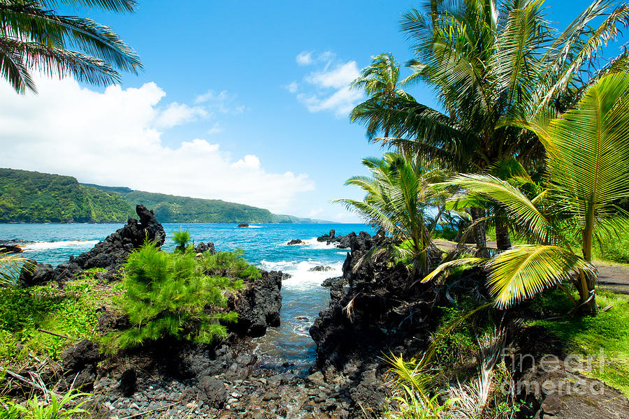 Keanae framed by Palm Trees Maui Hawaii Photograph by Sharon Mau