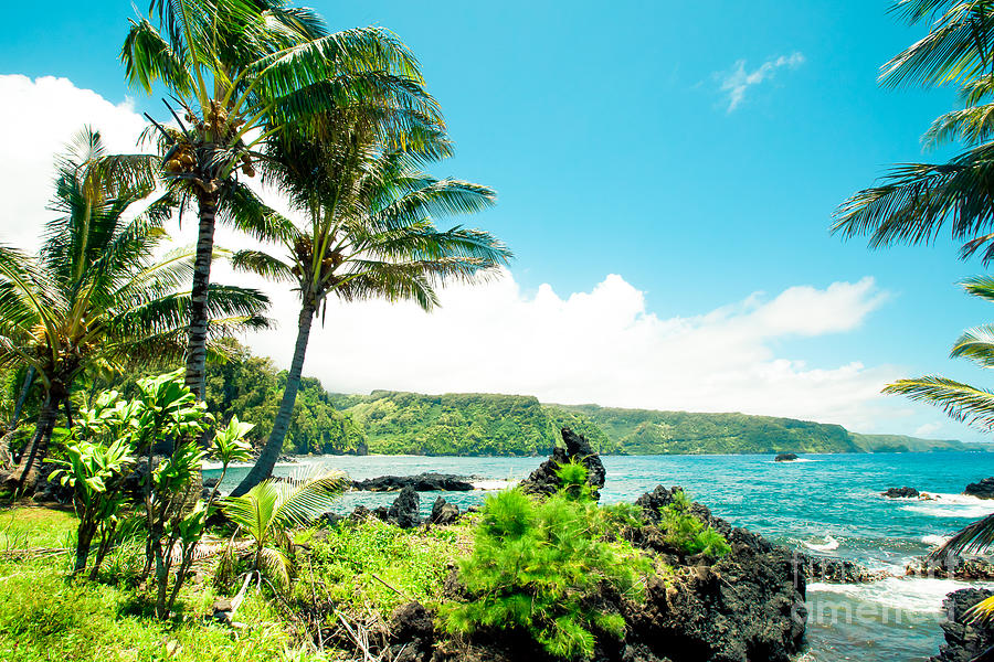 Keanae Waialohe Maui Hawaii Photograph by Sharon Mau