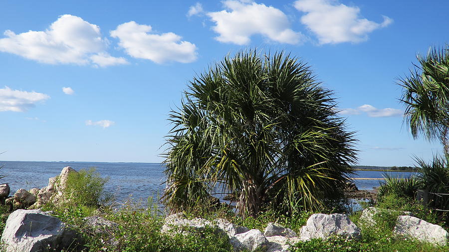 Keaton Beach Photograph by Roger Epps - Fine Art America