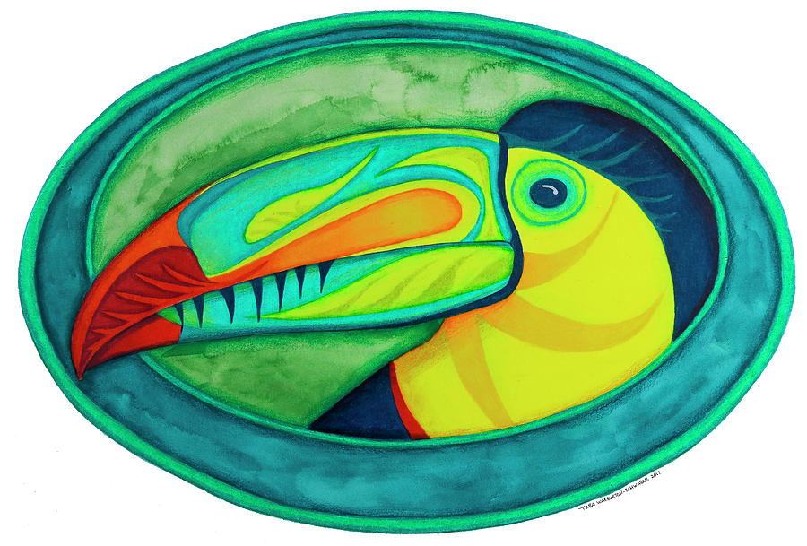Toucan Drawing - Keel Billed Toucan by Tara Warburton-Schwaber Toucan Drawing - Keel Billed Toucan by Tara Warburton-Schwaber