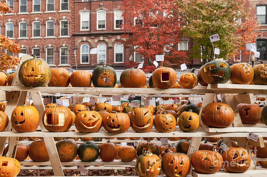 Keene Pumpkin Festival Photograph by John Greim Fine Art America