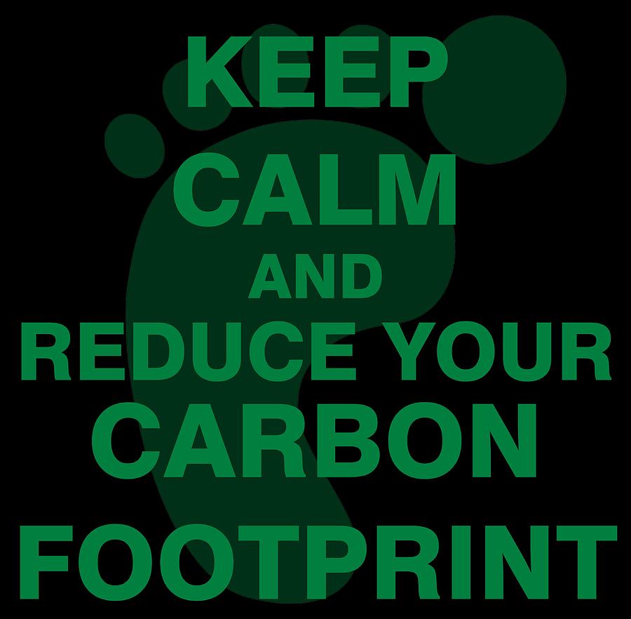 Keep Calm and Reduce Your Carbon Footprint Drawing by ES Design Fine