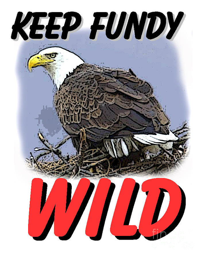 Keep Fundy WILD Mixed Media by Art MacKay