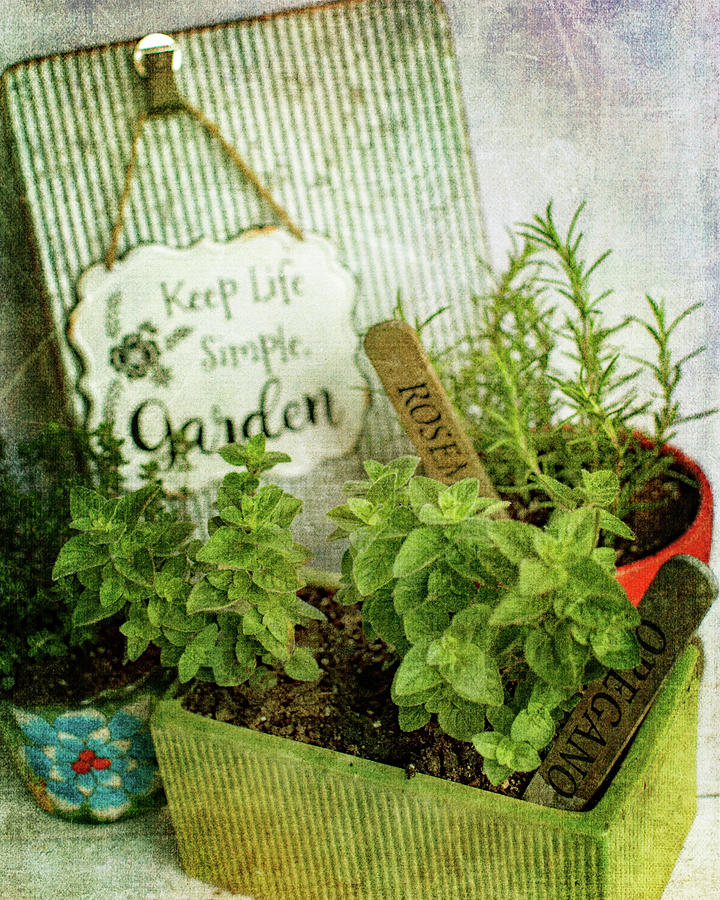 Keep Life Simple - Garden Photograph