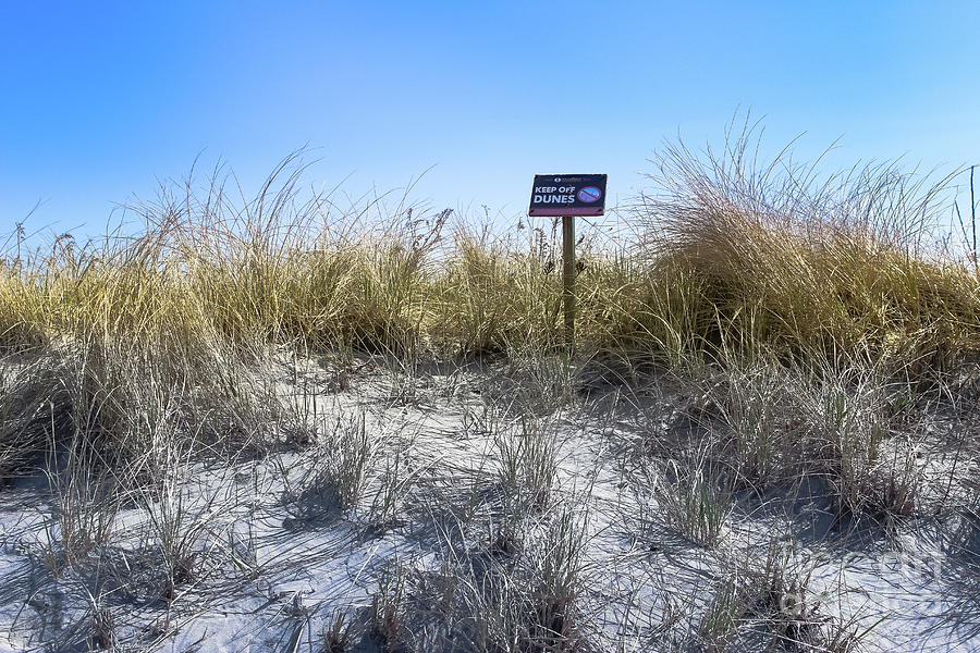 Keep off the Dunes- Ocean Grove Photograph by Colleen Kammerer