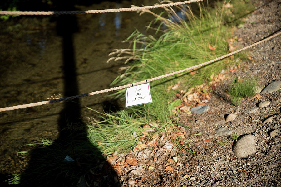 Keep Out of Creek Photograph by Tom Cochran