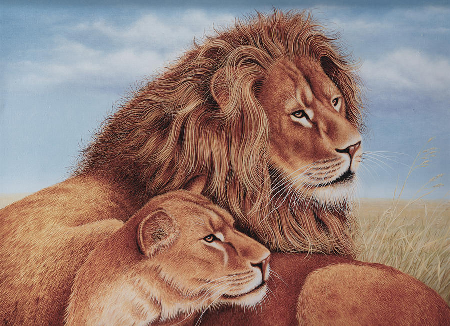 Lion Painting - Keeping A Watchful Eye by William McLean Kerr