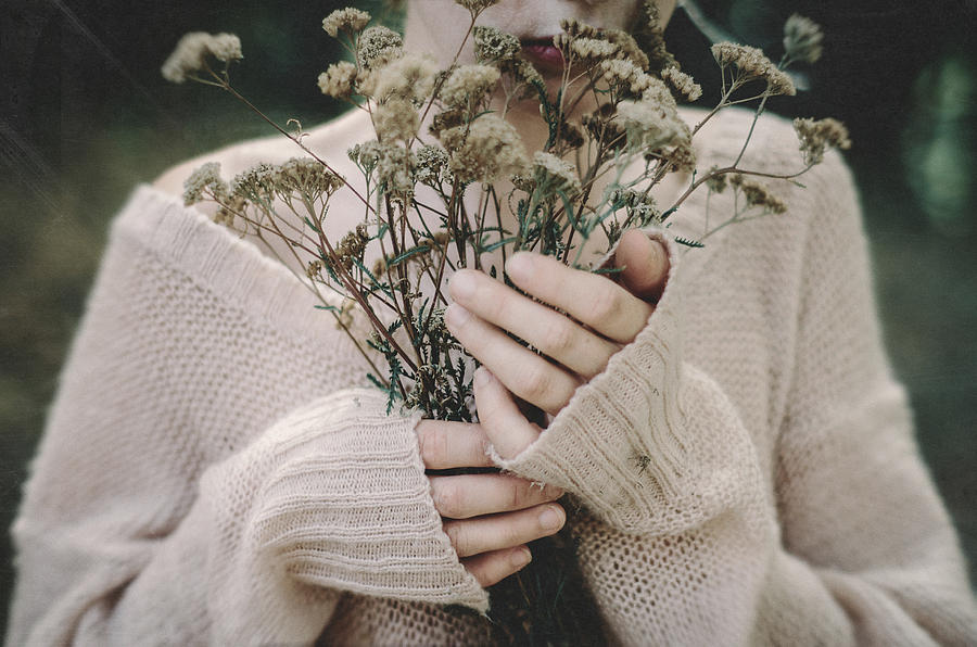 Keeping Warmth. Prickle Tenderness Photograph by Inna Mosina
