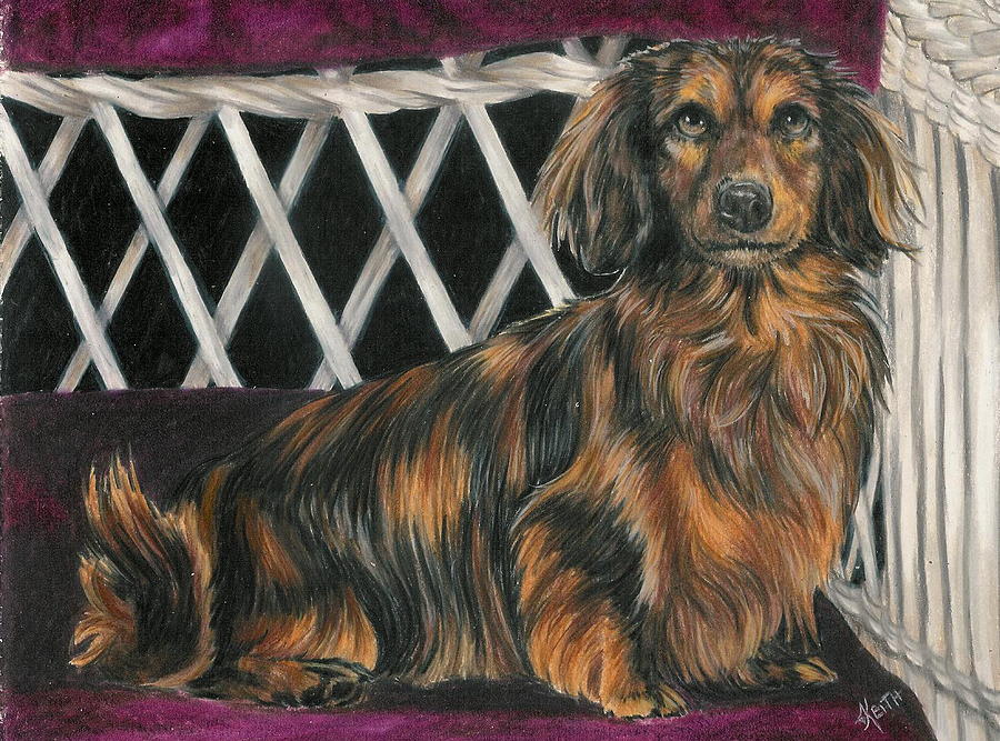 Keeping Your Spot Warm Drawing by Barbara Keith
